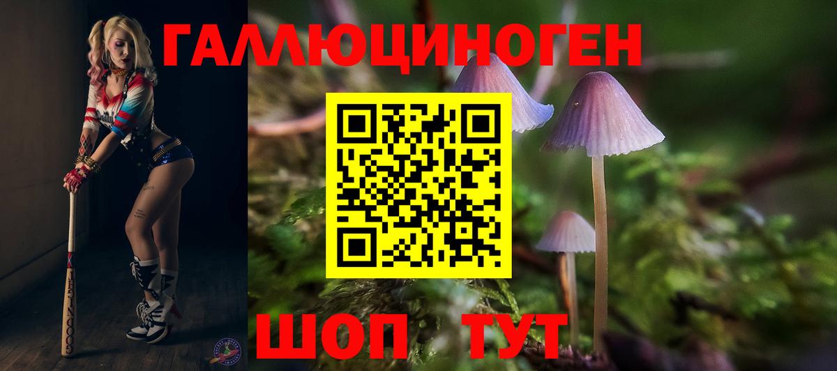 Калач-на-Дону  Галлюциногенные грибы MAGIC MUSHROOMS  что такое   Вход с VPN 